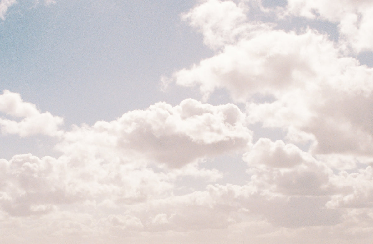 a group of people on a beach flying a kite