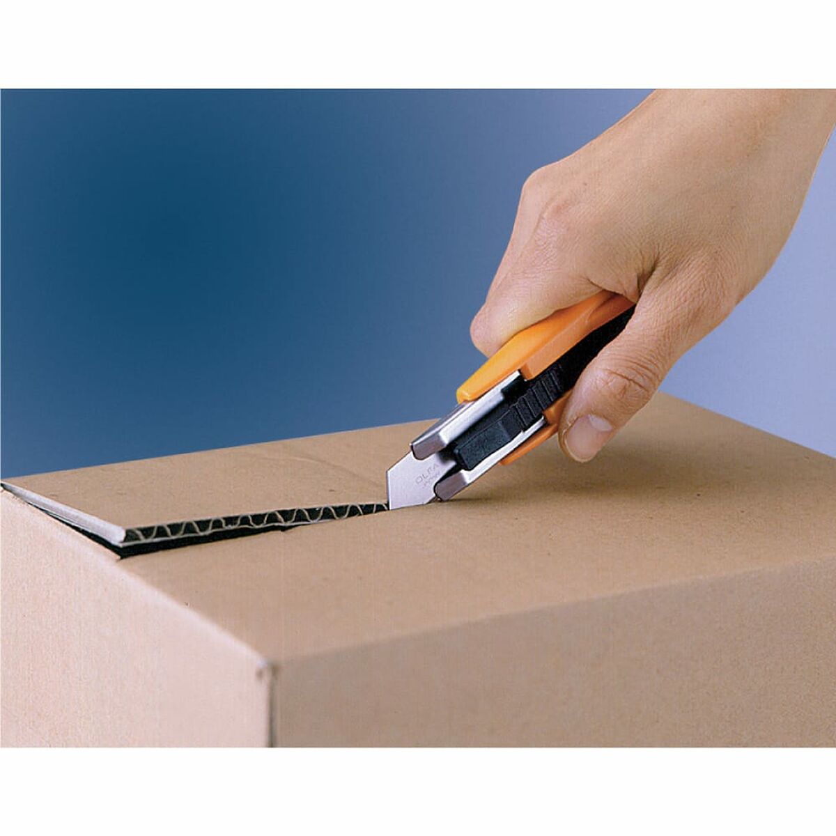 Mochila escolar Olfa