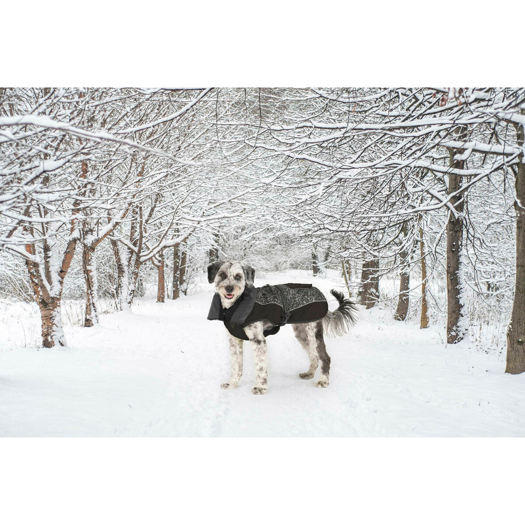 Casaco para Cães Dog Gone Smart Preto 50 cm