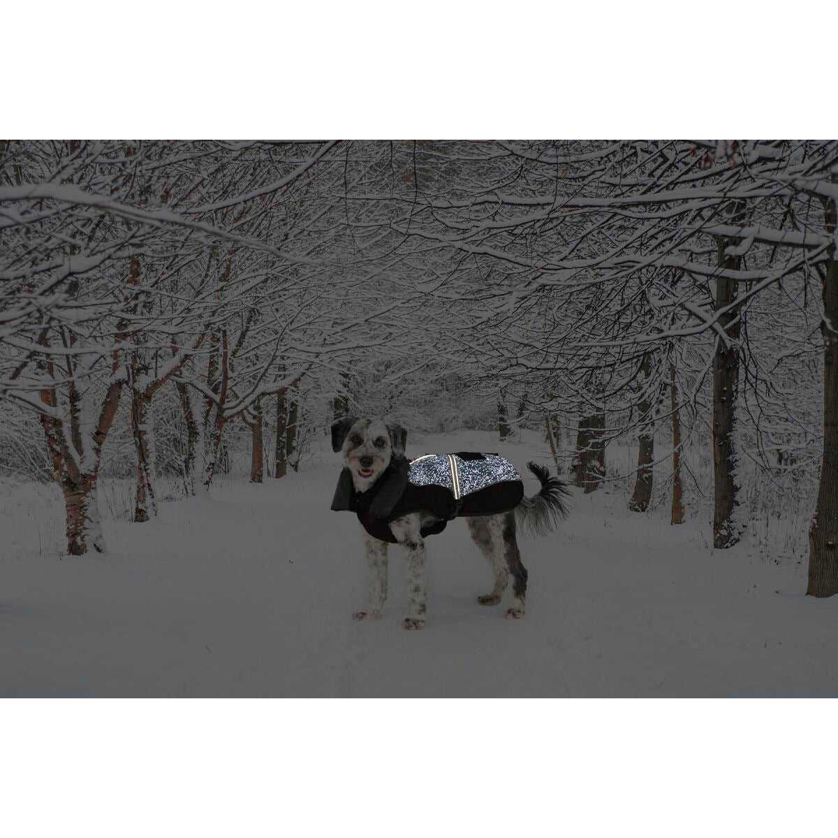 Casaco para Cães Dog Gone Smart Preto 60 cm