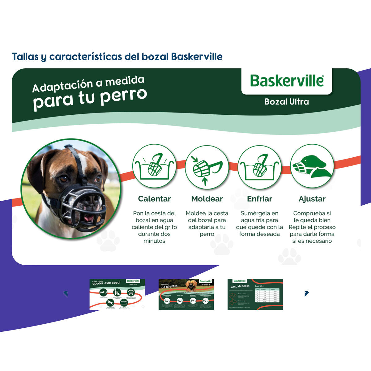 Açaime Company of Animals Preto 5