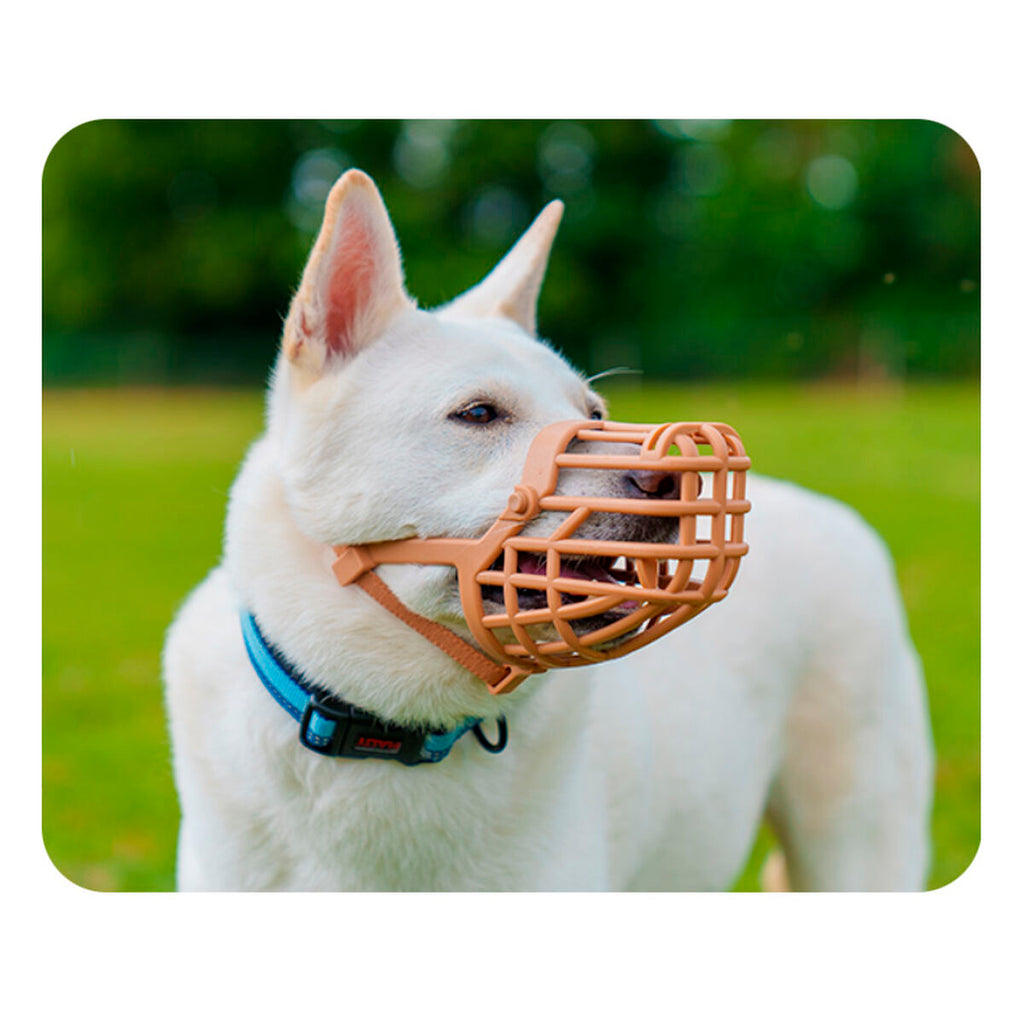 Açaime Company of Animals Castanho 8