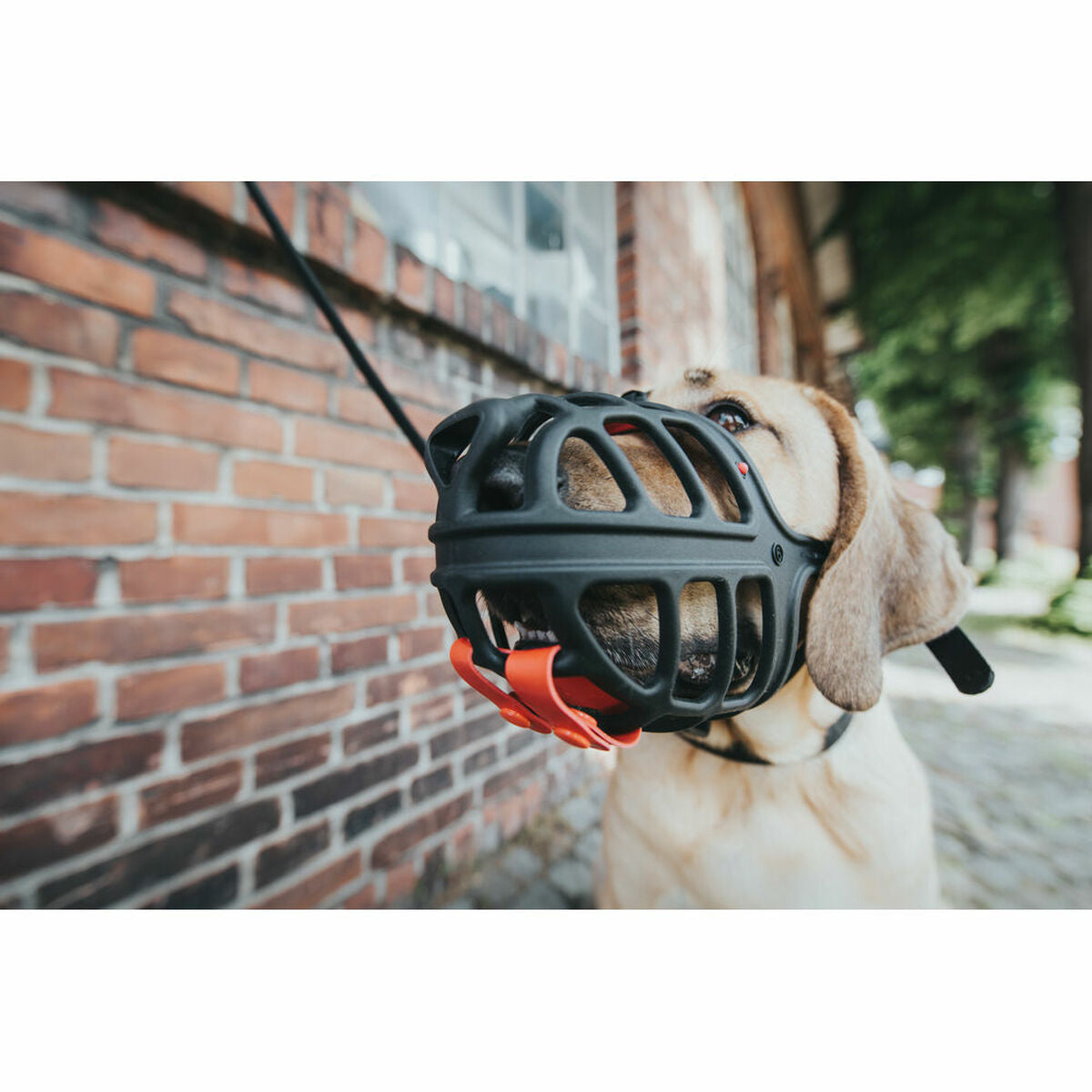 Hunter Albury Black Muzzle Size 1 (45 cm) (21 cm) (5 cm)