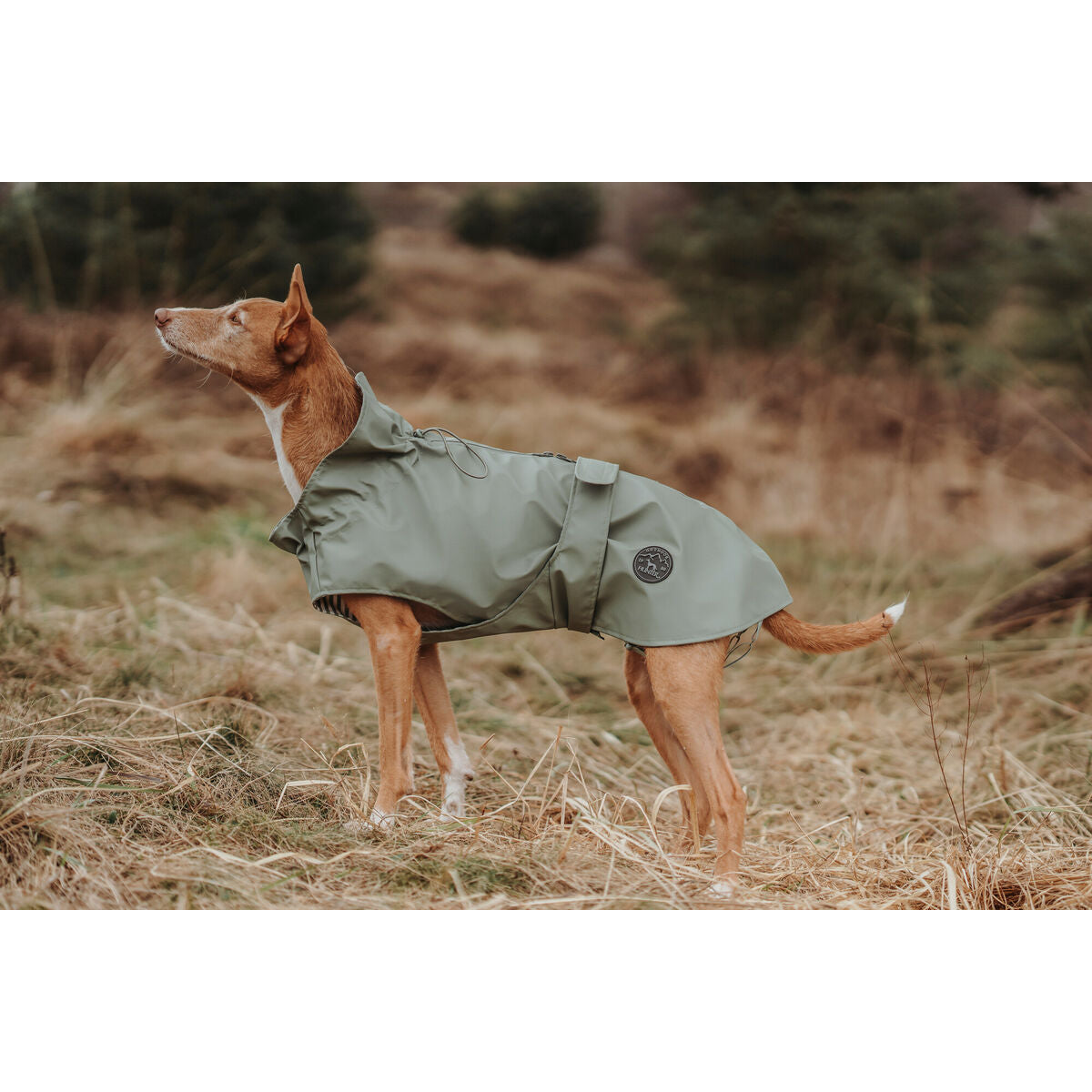 Hunter Milford Green Dog Jacket 35 cm