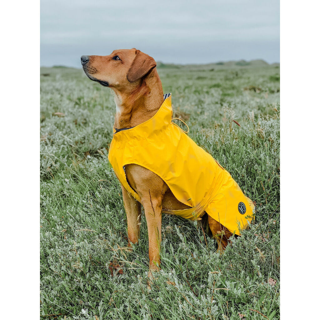 Casaco para Cães Hunter Milford Amarelo 50 cm