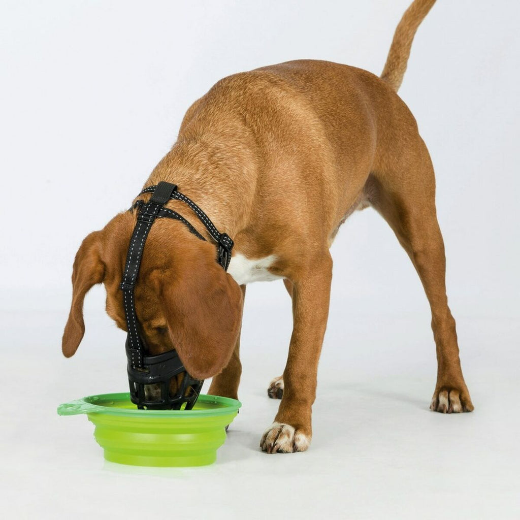 Bozal negro Trixie M/L