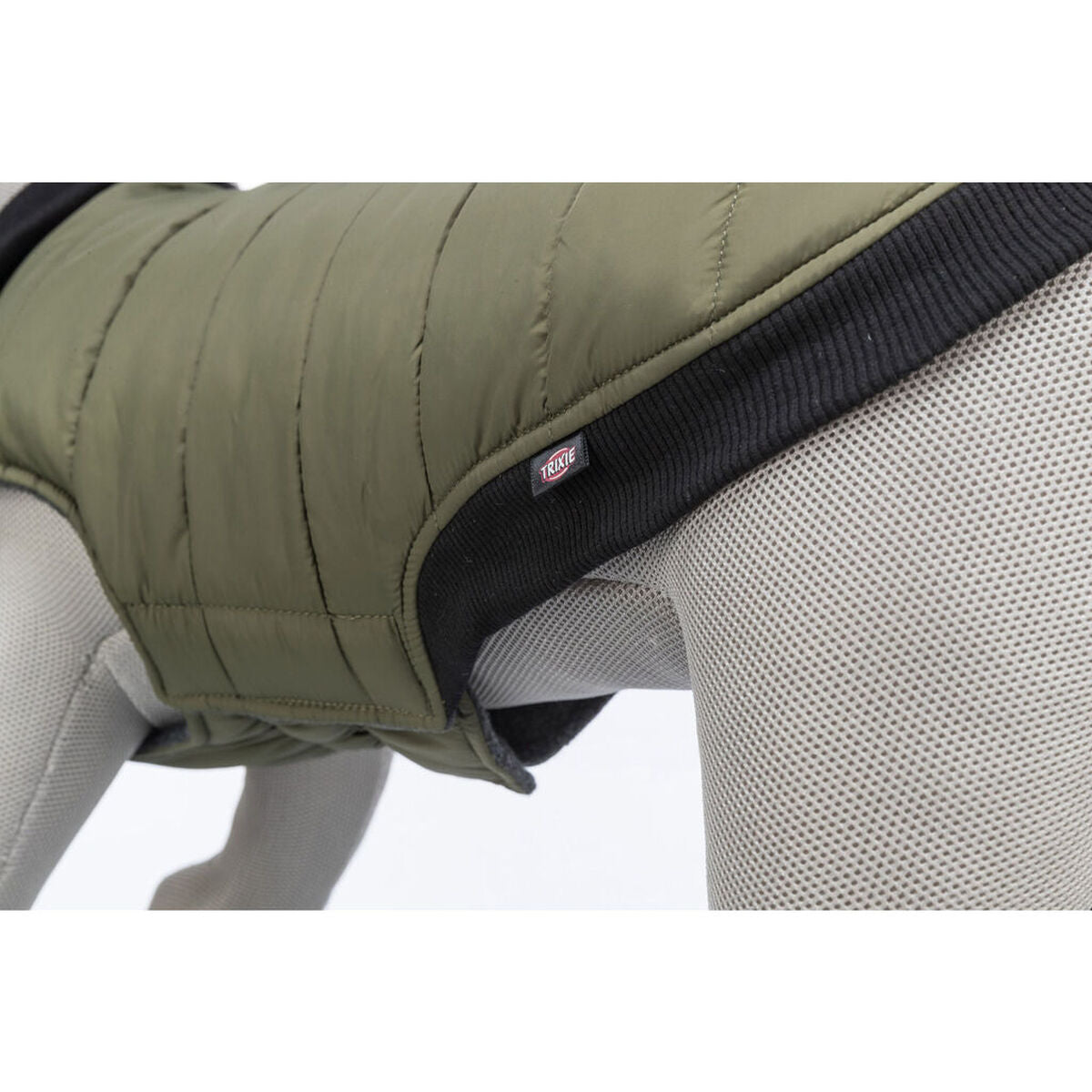 Trixie Arlay Dark Green Dog Coat S