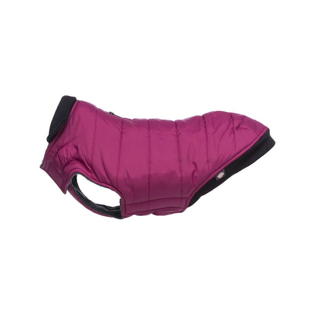 Trixie Arlay Purple Dog Coat S