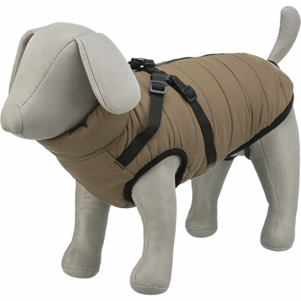 Trixie Dog Coat