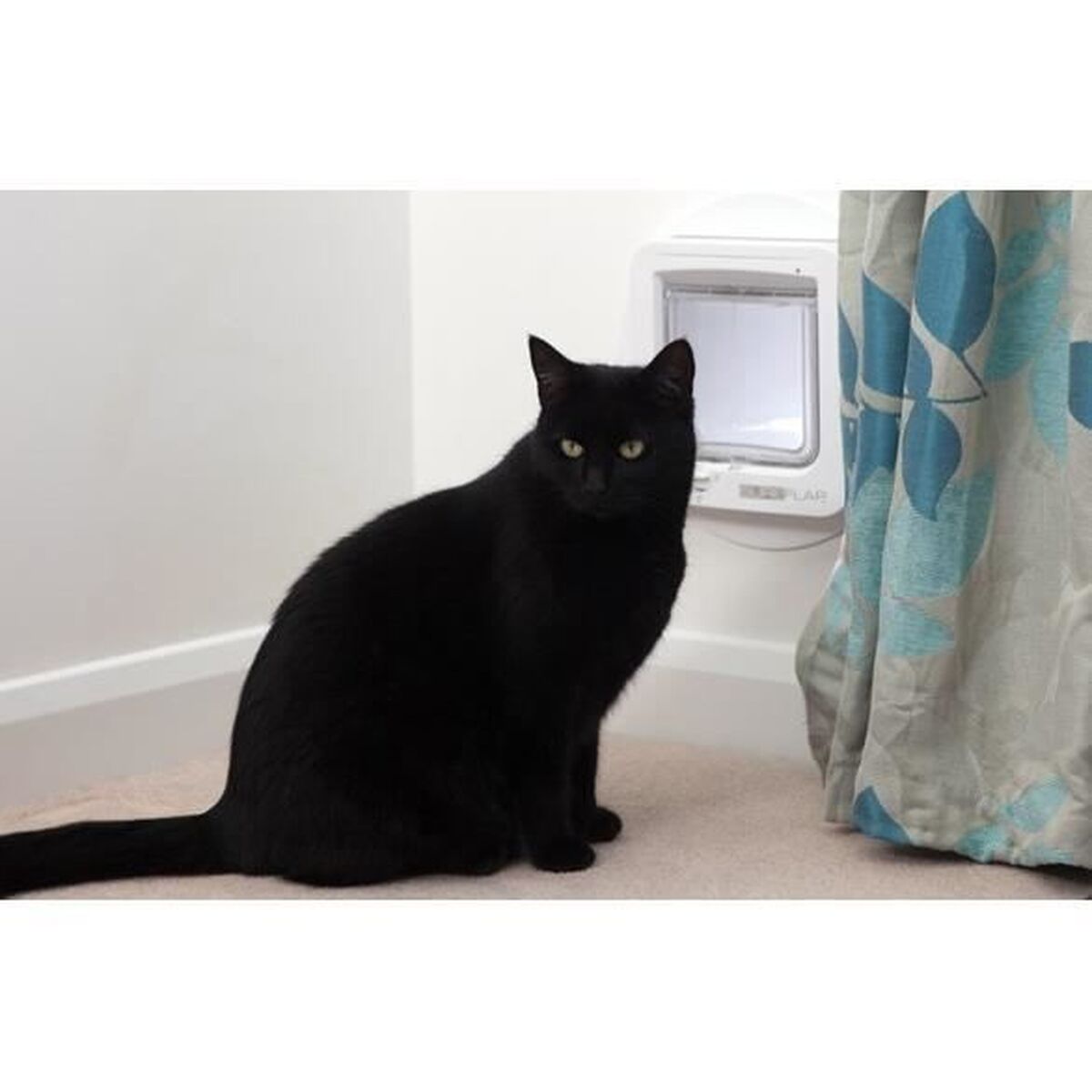 Aba de gato SureFlap 70955 Branco Plástico