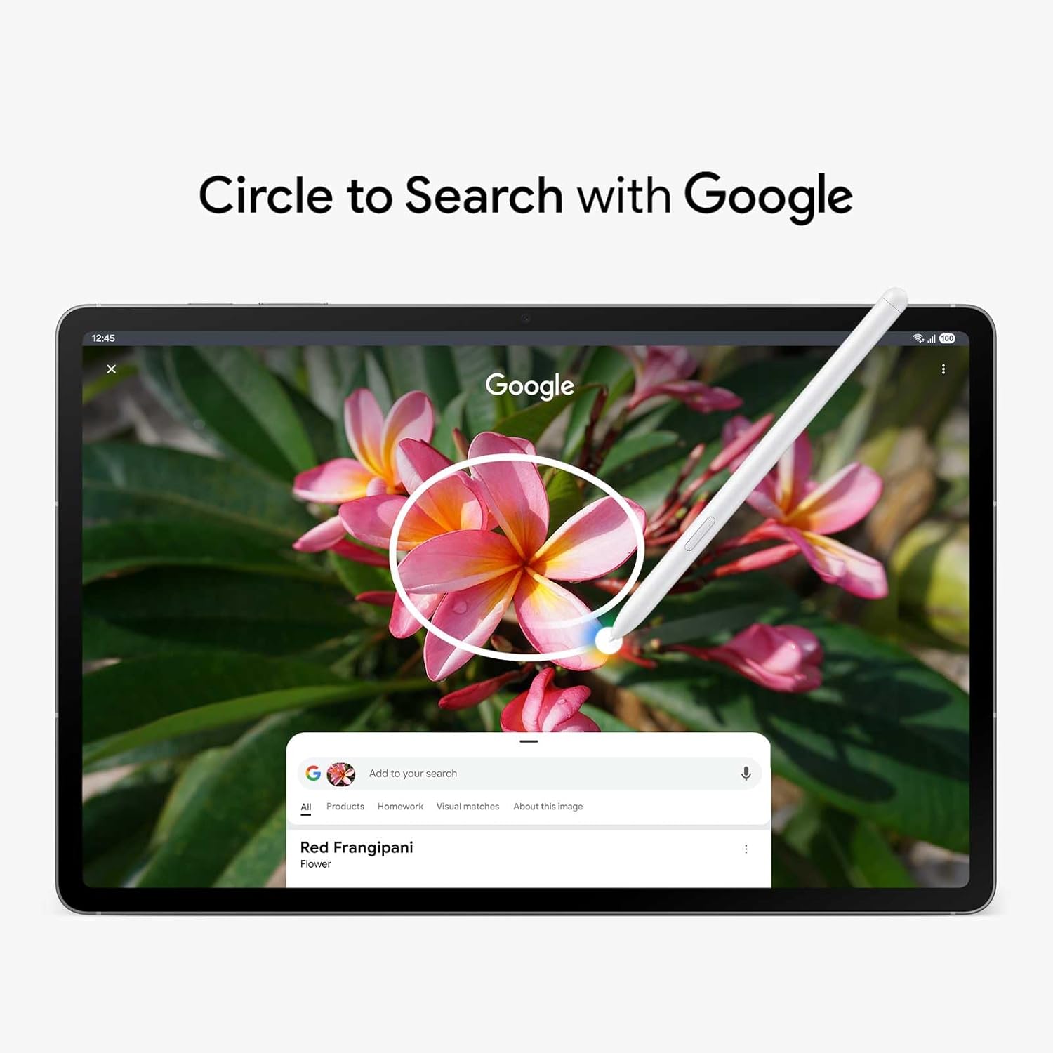 SAMSUNG Galaxy Tab S10 FE+ 13.1” 256GB WiFi Android Tablet, Large Display, Long Battery Life, Exynos 1580 Processor, IP68, Water-Resistant, 90 Hz Refresh, S Pen for Note-Taking, US Version, Gray