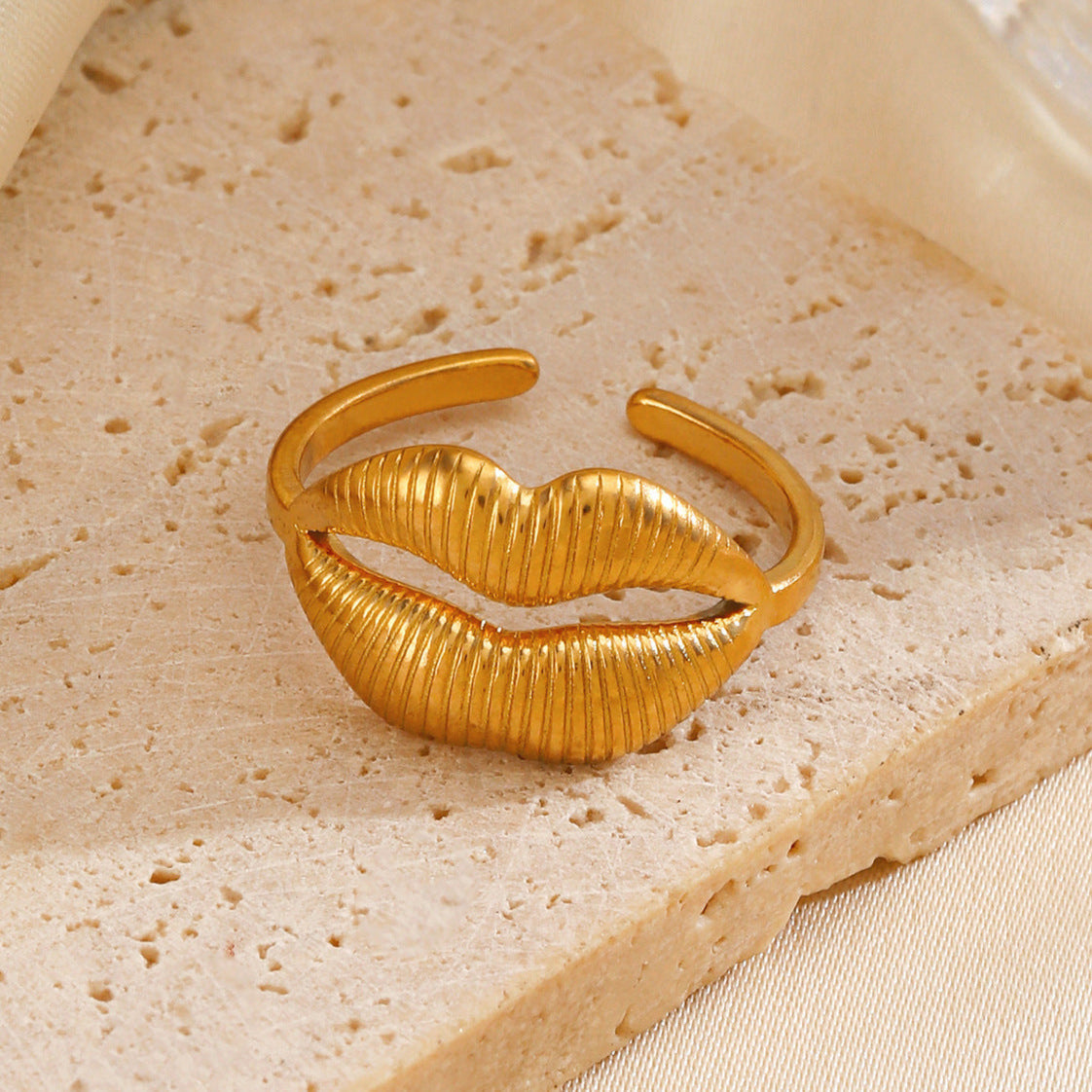 Anillo de labios de acero inoxidable