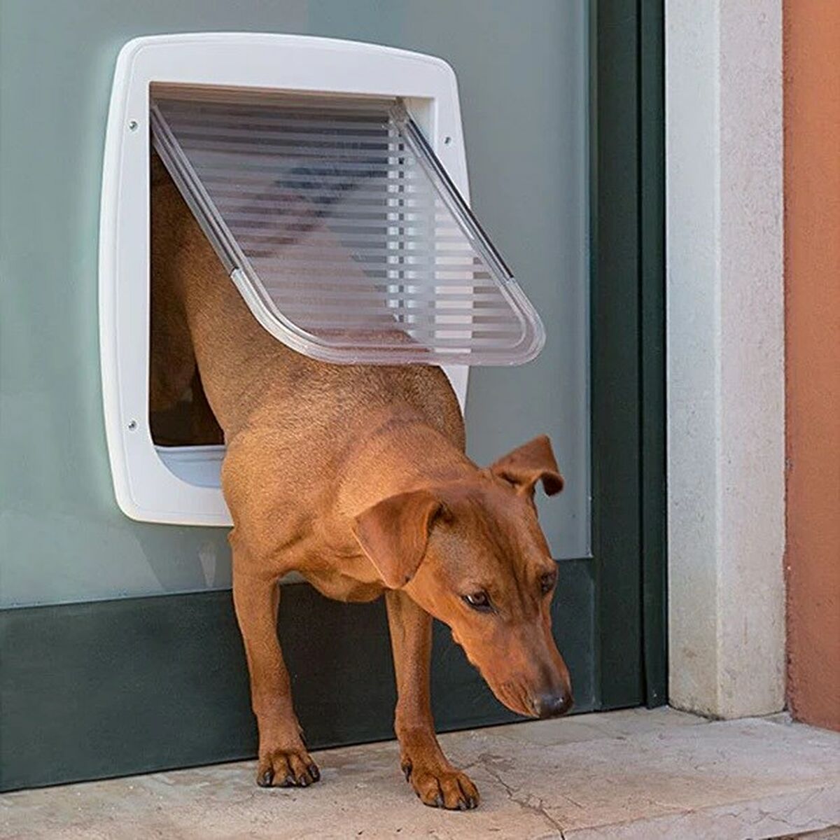 Aba de gato Ferplast Swing Cinzento