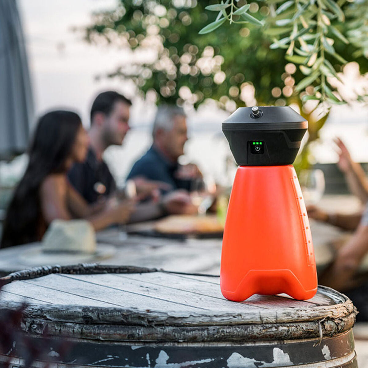 Pulverizador a presión para jardín Stocker 2L