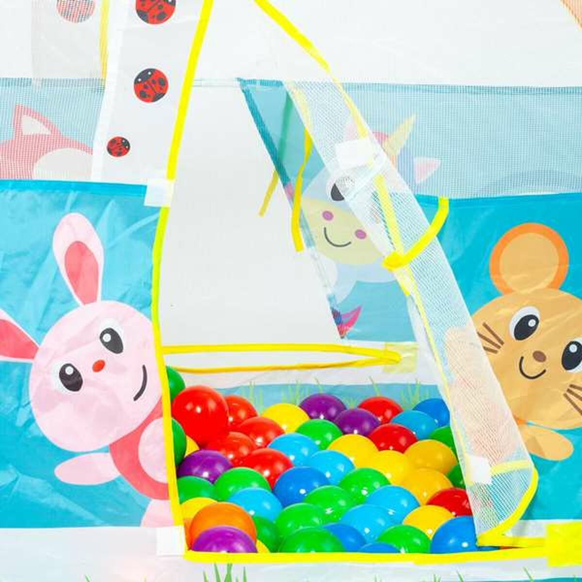 Moltó Ball Pit Animal Car