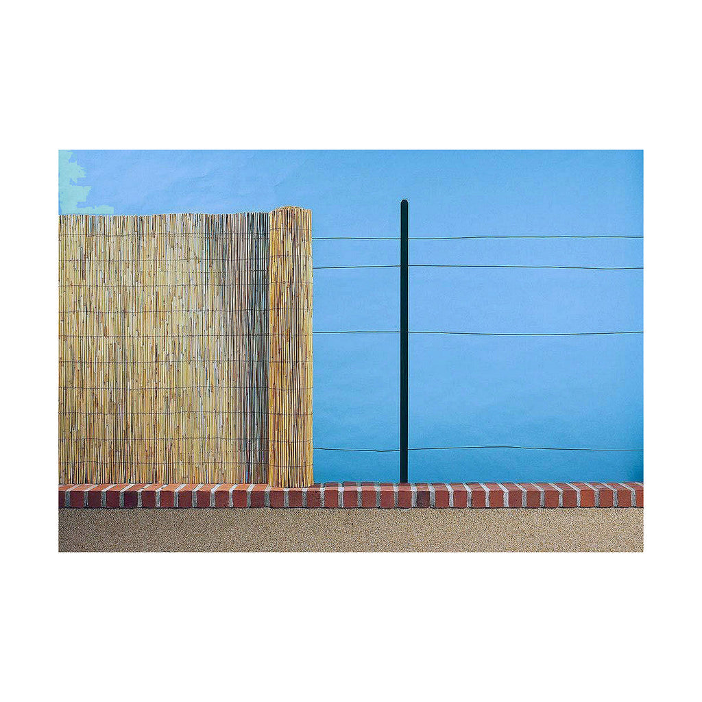 Valla de jardín EDM 75816 Bambú marrón 1 x 5 m