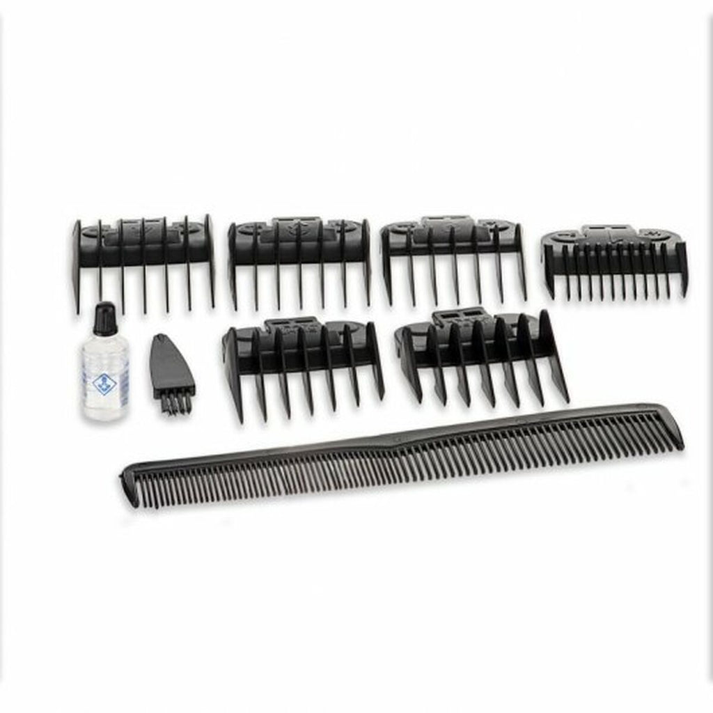 Cargador de coche Blaupunkt BP5001