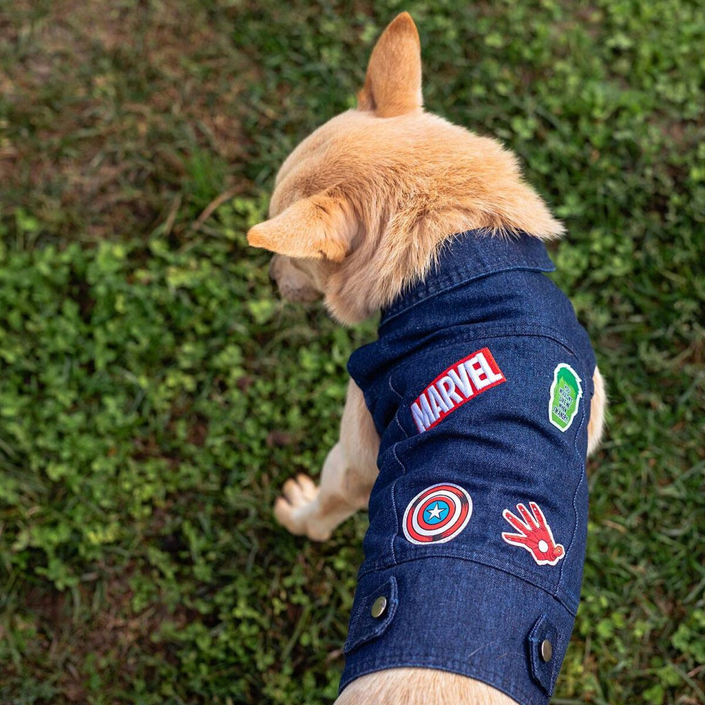 Marvel Blue XS Dog Jacket