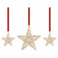 Swarovski Christmas Star 5649780 Gray Resin