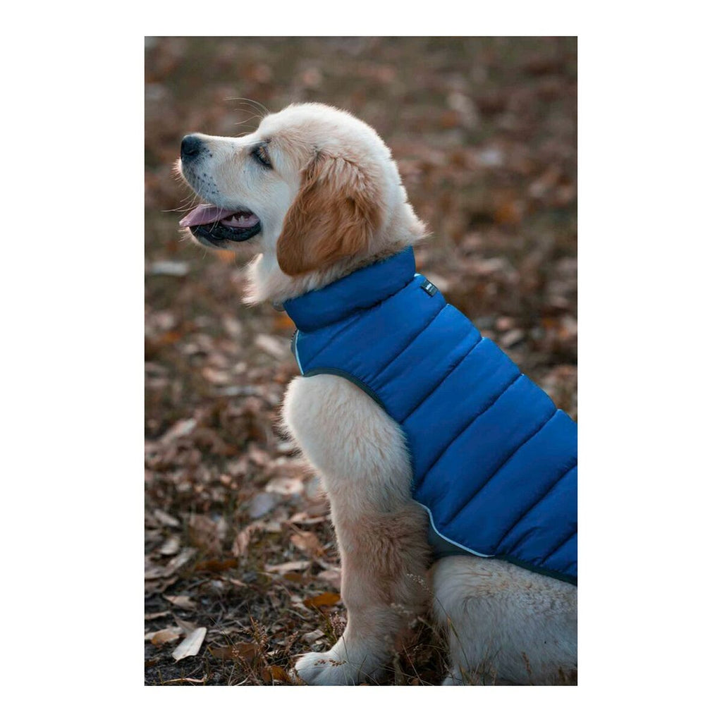 Red Dingo Puffer Dog Jacket, Turquoise, 40 cm