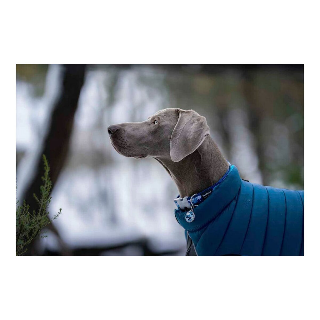 Red Dingo Puffer Dog Jacket, Turquoise, 40 cm