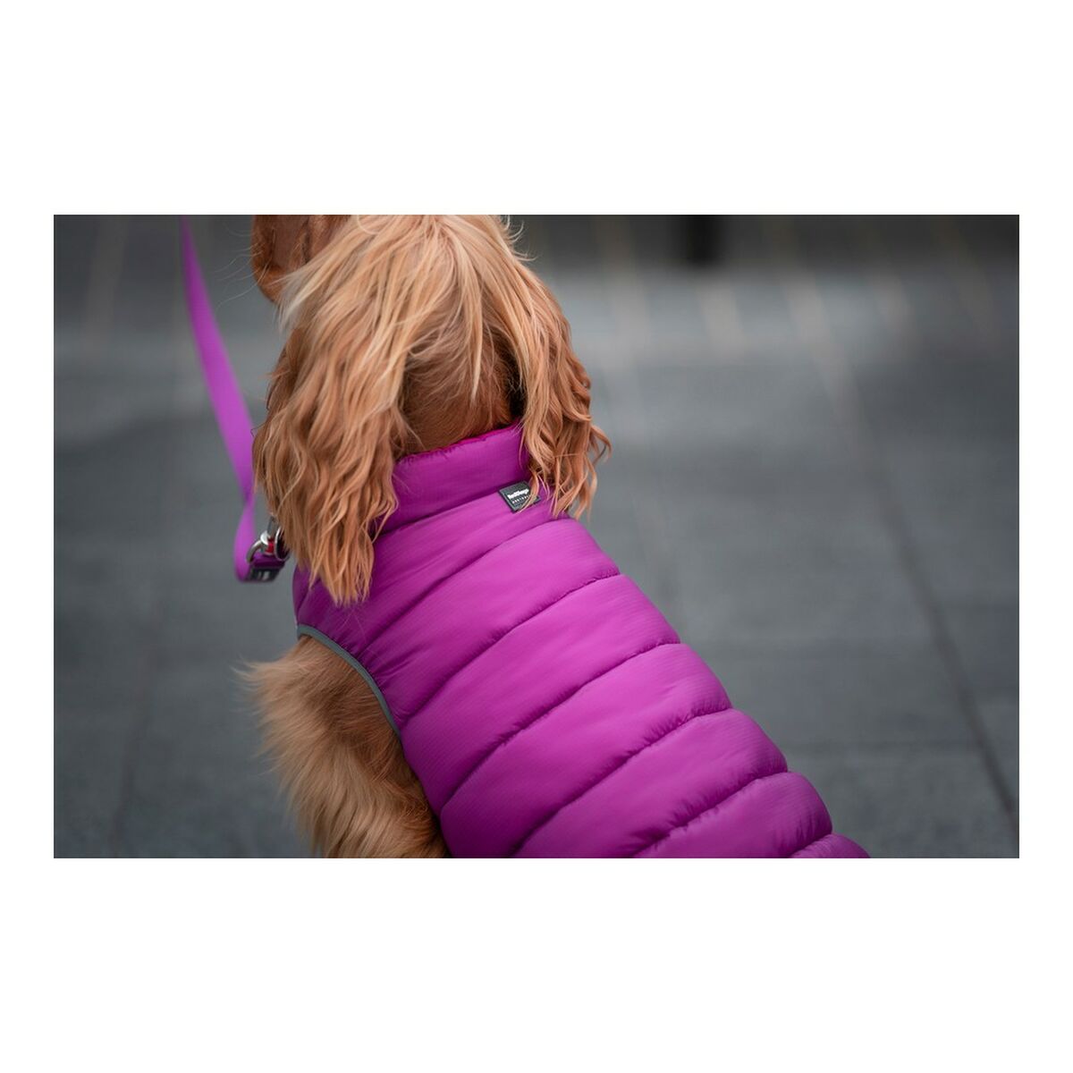 Red Dingo Puffer Dog Jacket 45 cm Pink/Blackberry