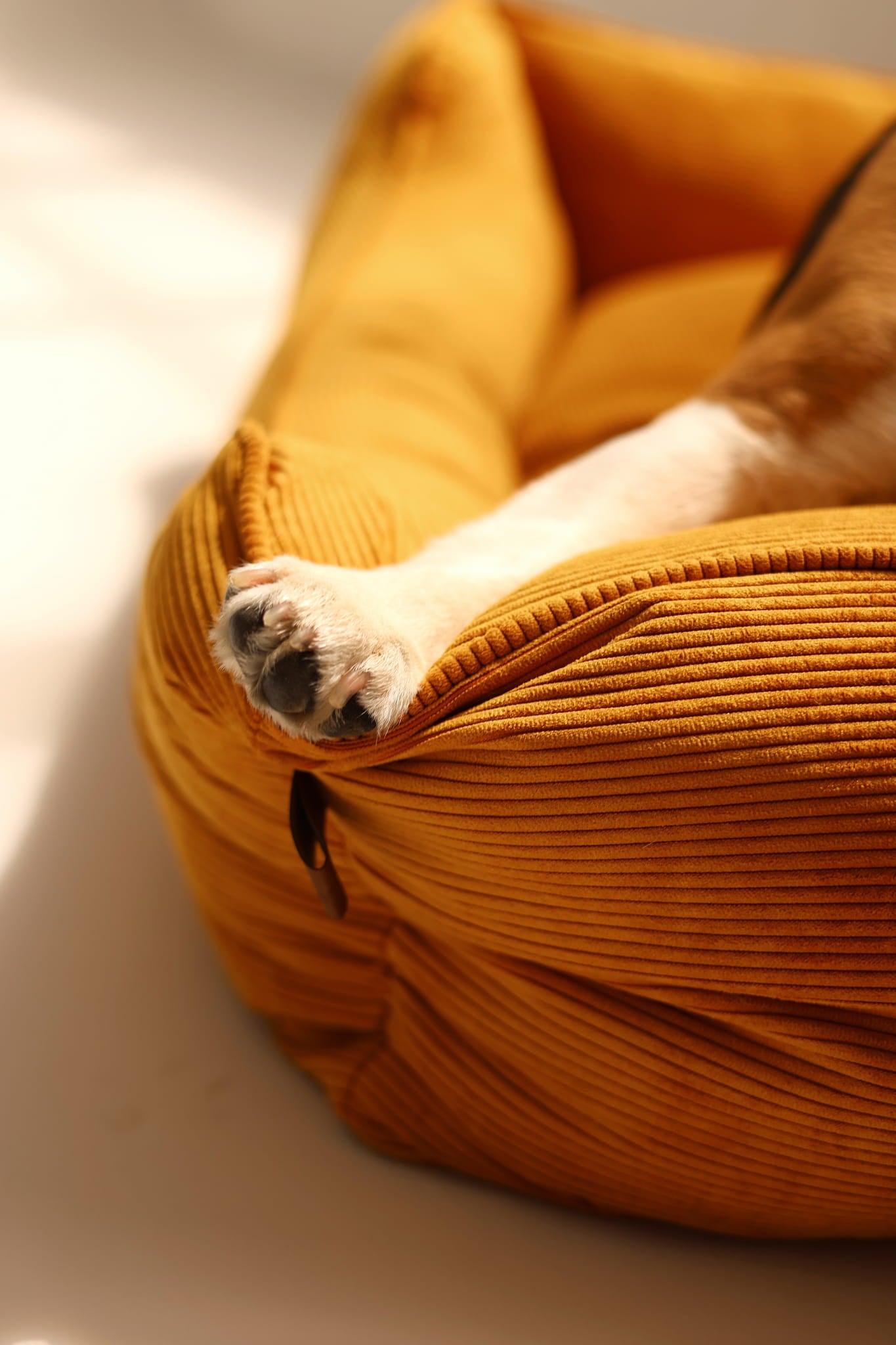 Zipped Couch Dog Bed CORY by FOFFINY