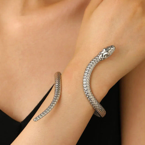 Pulsera y anillo de serpiente
