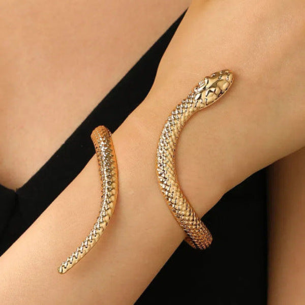 Pulsera y anillo de serpiente