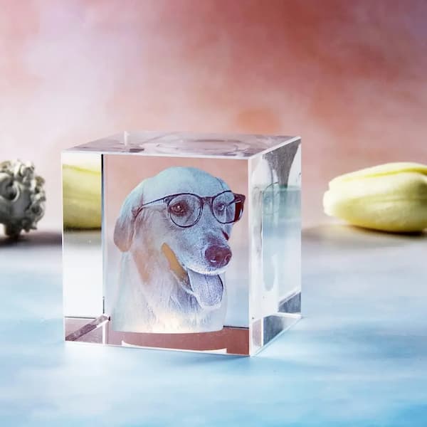 Personalized 3D Crystal Pet Memorial – Heartfelt Christmas Keepsake for Pet Lovers