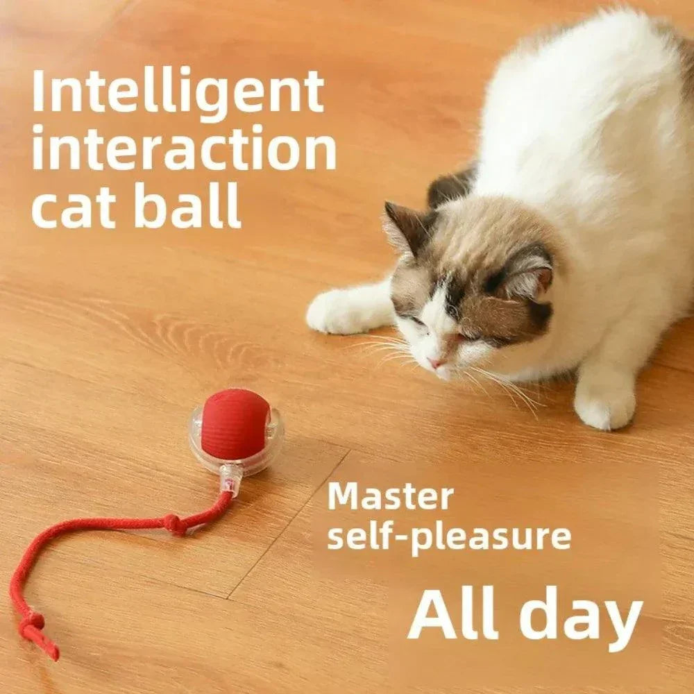 Rechargeable Smart Pet Interactive Rolling Ball Toy for Cats & Dogs – Automatic Electric Toy with Simulated Tail for Play & Exercise