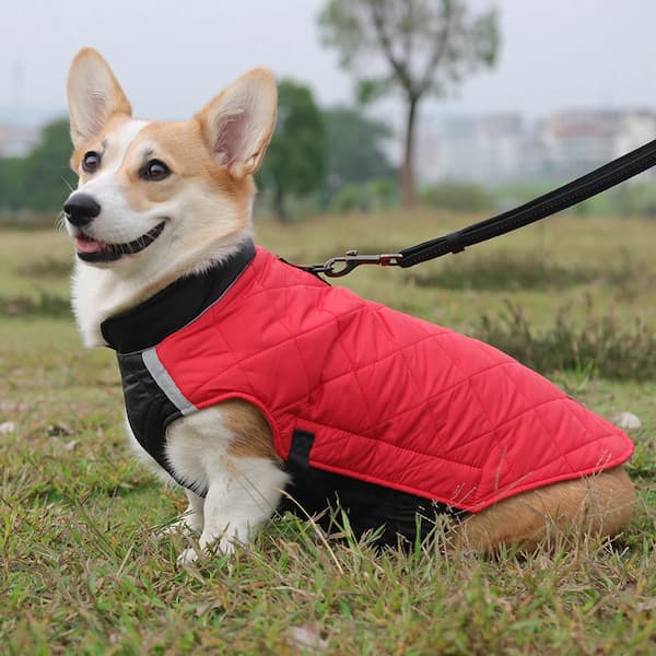 Waterproof Winter Dog Jacket with Reflective Strips – Padded Warm Dog Coat with D-Ring Harness Clip (Sizes M–5XL, Small to Large Dogs)