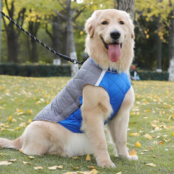 Waterproof Winter Dog Jacket with Reflective Strips – Padded Warm Dog Coat with D-Ring Harness Clip (Sizes M–5XL, Small to Large Dogs)