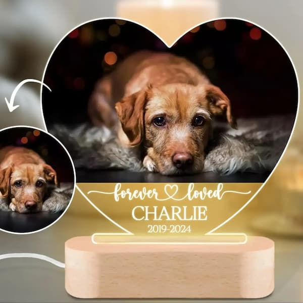 Custom Pet Photo Night Light – Personalised Memorial Gift for Dogs & Cats | 7-Color LED Plaque