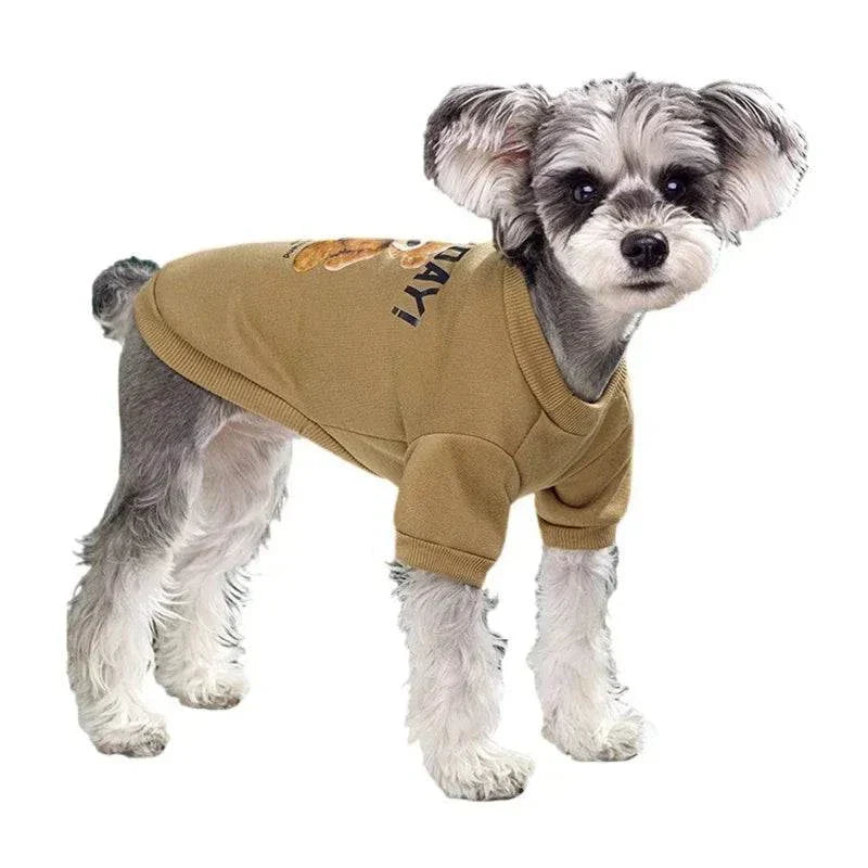 Cute Bear Sweater for Pets | Warm Pullover for Small & Medium Dogs and Cats | Winter Chihuahua Outfit