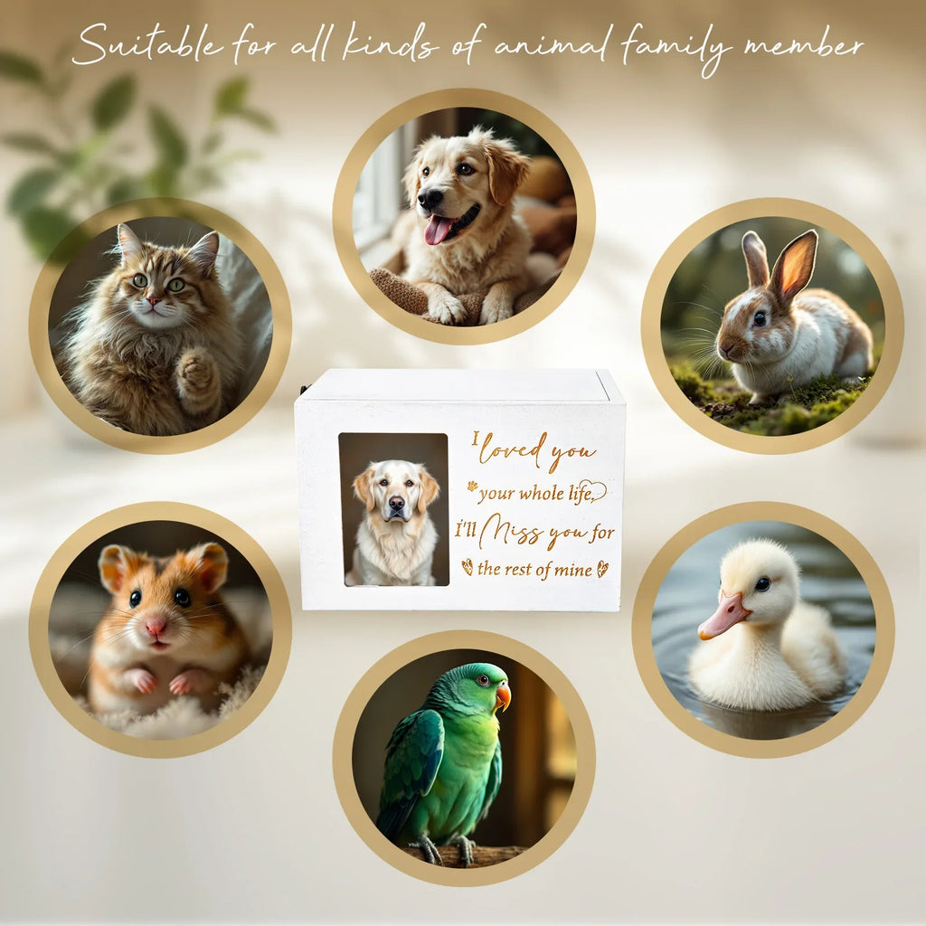 Wooden Pet Memorial Urn with Photo Frame - Dog Memorial Keepsake