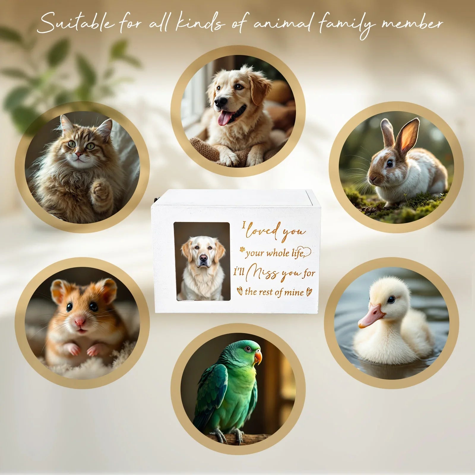 Wooden Pet Memorial Urn with Photo Frame - Dog Memorial Keepsake