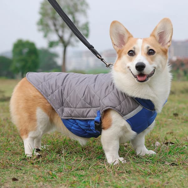 Waterproof Winter Dog Jacket with Reflective Strips – Padded Warm Dog Coat with D-Ring Harness Clip (Sizes M–5XL, Small to Large Dogs)