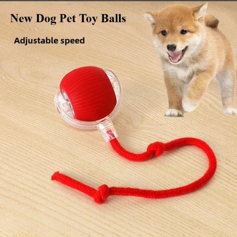 Rechargeable Smart Pet Interactive Rolling Ball Toy for Cats & Dogs – Automatic Electric Toy with Simulated Tail for Play & Exercise