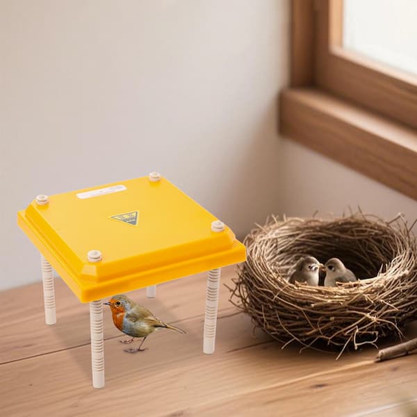 Adjustable Radiant Heat Brooder Plate for Chicks, Ducks & Small Birds – Safe, Low-Watt Winter Heating (10x10 inch, 15W)