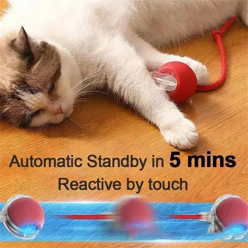 Rechargeable Smart Pet Interactive Rolling Ball Toy for Cats & Dogs – Automatic Electric Toy with Simulated Tail for Play & Exercise