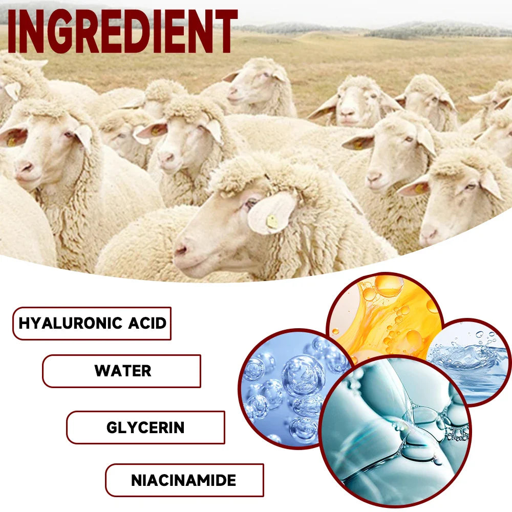 100% Pure Lanolin Cream for Dry & Itchy Skin, Cracked Lips, Breastfeeding, Baby Care, Moisture-Rich, Nursing Essentials & Petrol