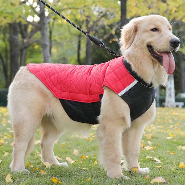 Waterproof Winter Dog Jacket with Reflective Strips – Padded Warm Dog Coat with D-Ring Harness Clip (Sizes M–5XL, Small to Large Dogs)
