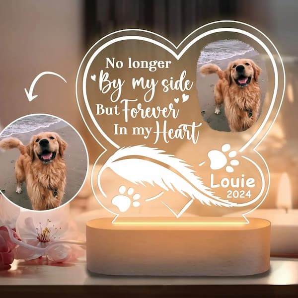 Custom Pet Photo Night Light – Personalised Memorial Gift for Dogs & Cats | 7-Color LED Plaque