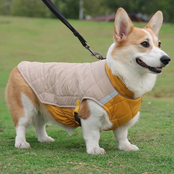 Waterproof Winter Dog Jacket with Reflective Strips – Padded Warm Dog Coat with D-Ring Harness Clip (Sizes M–5XL, Small to Large Dogs)