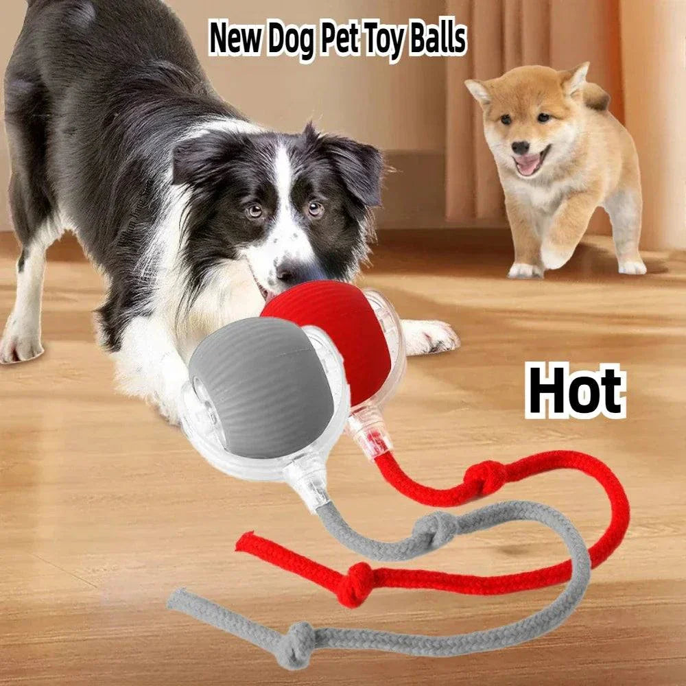 Rechargeable Smart Pet Interactive Rolling Ball Toy for Cats & Dogs – Automatic Electric Toy with Simulated Tail for Play & Exercise