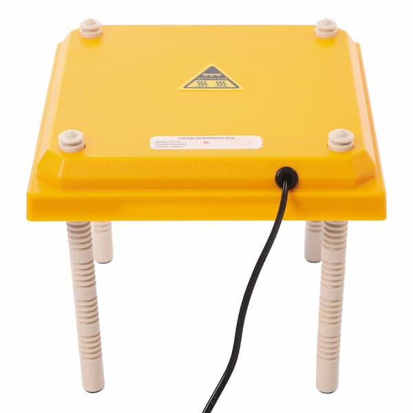 Adjustable Radiant Heat Brooder Plate for Chicks, Ducks & Small Birds – Safe, Low-Watt Winter Heating (10x10 inch, 15W)