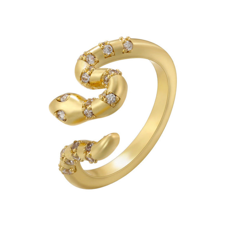 Anel Snake