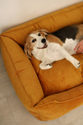Zipped Couch Dog Bed CORY by FOFFINY