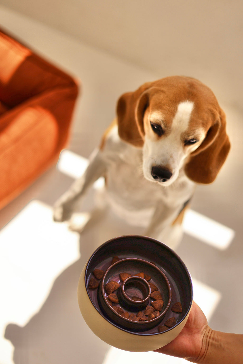 Slow Feed Ceramic Bowl "Pink Bloom"